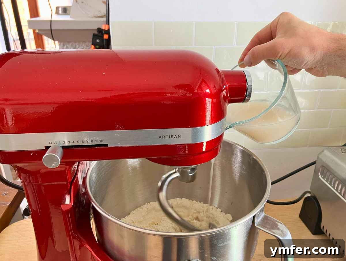 Perfect Ooni Pizza Dough Formula 12 Making a ooni pizza dough with kitchen aid