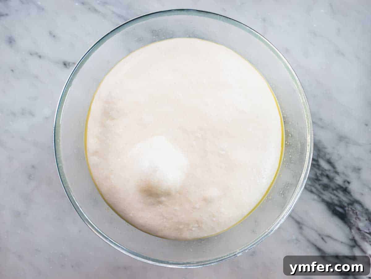 Perfect Ooni Pizza Dough Formula 18 ooni pizza dough after proofing