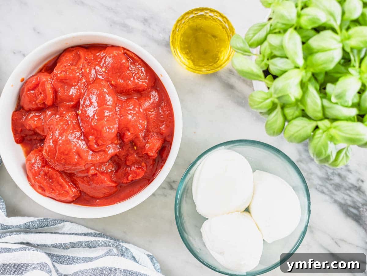 Perfect Ooni Pizza Dough Formula 19 Ingredients for pizza topping to make margherita pizza