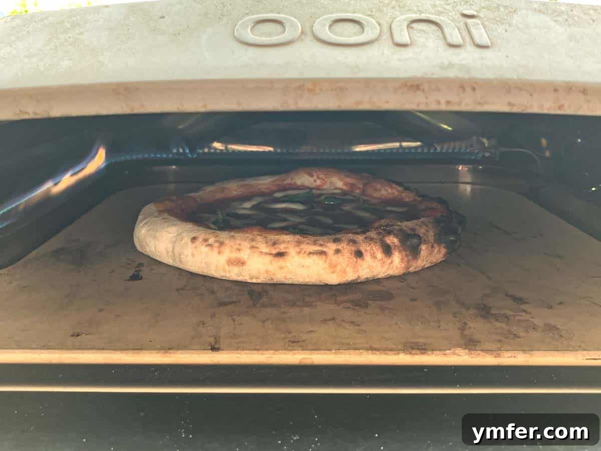 Perfect Ooni Pizza Dough Formula 34 Ooni pizza dough in the ooni oven with charred border