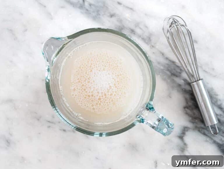 Perfect Ooni Pizza Dough Formula 44 yeast mixed with water
