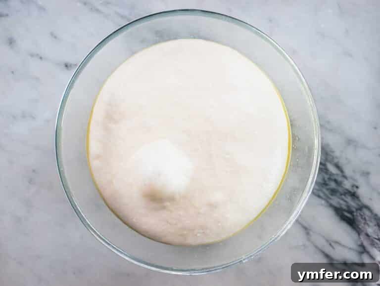 Perfect Ooni Pizza Dough Formula 48 ooni pizza dough after proofing