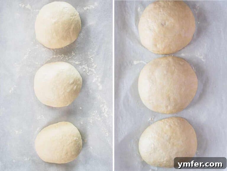 Perfect Ooni Pizza Dough Formula 50 Dough balls proofing a second time