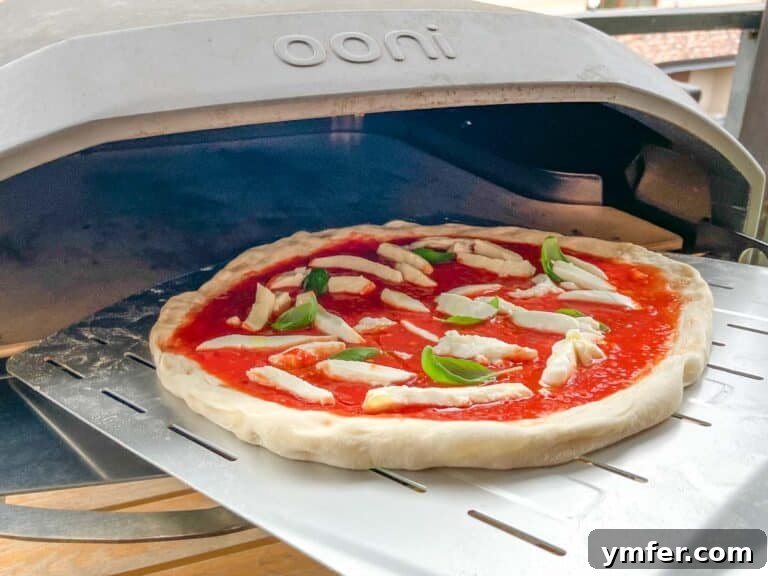 Perfect Ooni Pizza Dough Formula 57 Ooni pizza dough before baking