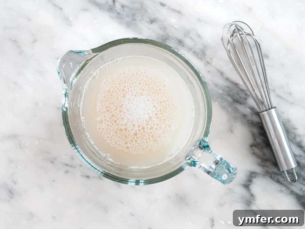 Perfect Ooni Pizza Dough Formula 9 yeast mixed with water