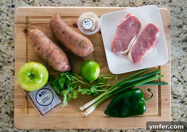 Spiced pork chops with vibrant charred poblano apple salsa on mashed sweet potatoes, a delightful meal solution for busy evenings.