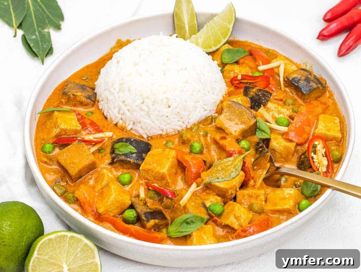 Healthy Asian Kitchen 13 Thai Red curry with rice