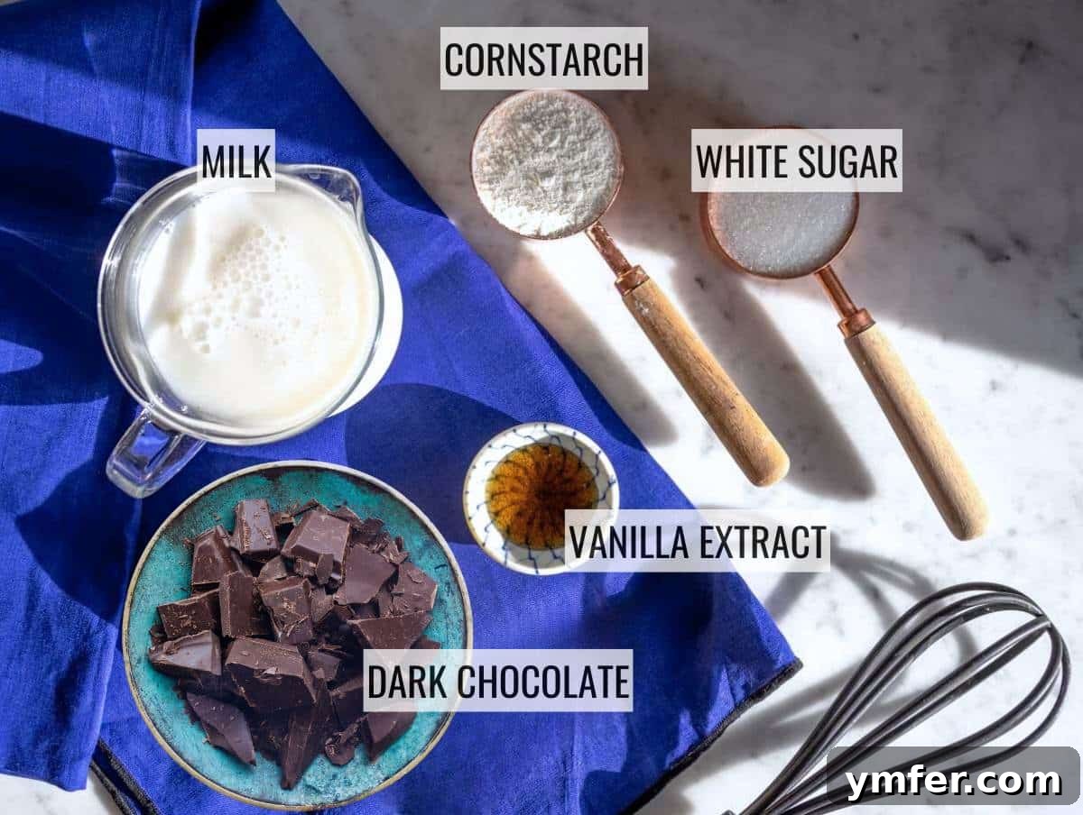 Decadent Chocolate Custard 4 A collection of ingredients laid out for making chocolate custard: milk, sugar, cornstarch, dark chocolate, and vanilla extract.