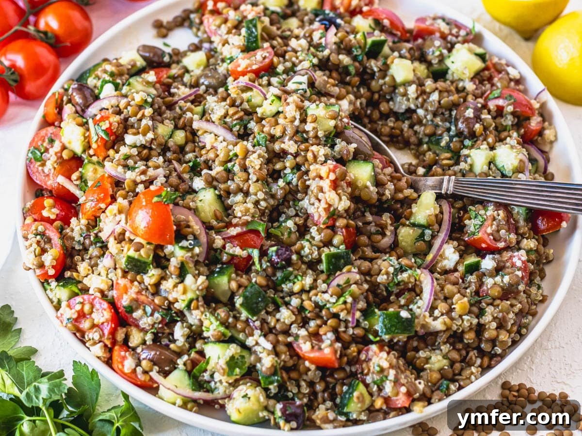 Effortless Quinoa Dishes 12 Lentil salad with quinoa and a silver spoon