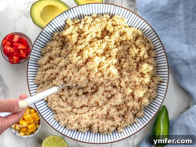 Cooked quinoa in a bowl, ready for serving or integration into other dishes.