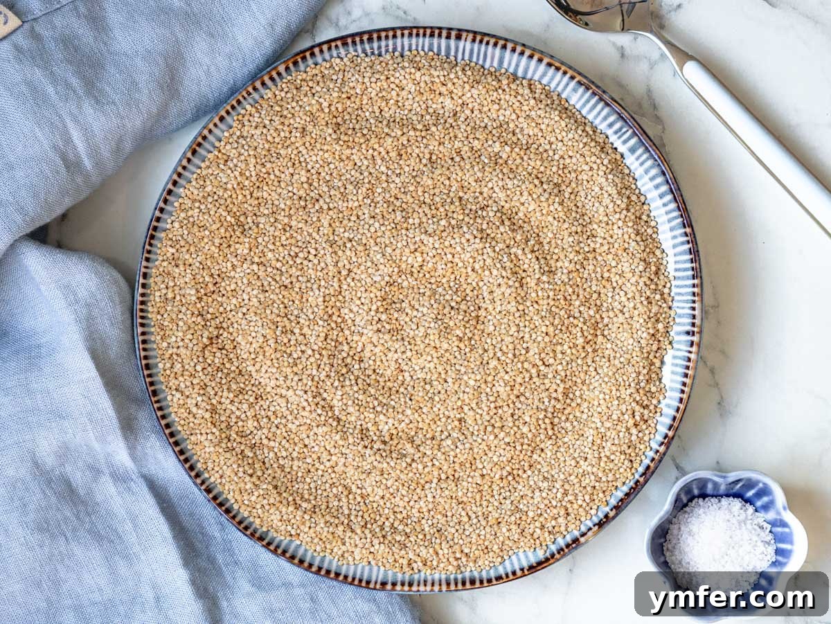 Mastering Perfectly Cooked Quinoa 3 Raw, uncooked quinoa grains displayed on a plate, highlighting their natural texture.