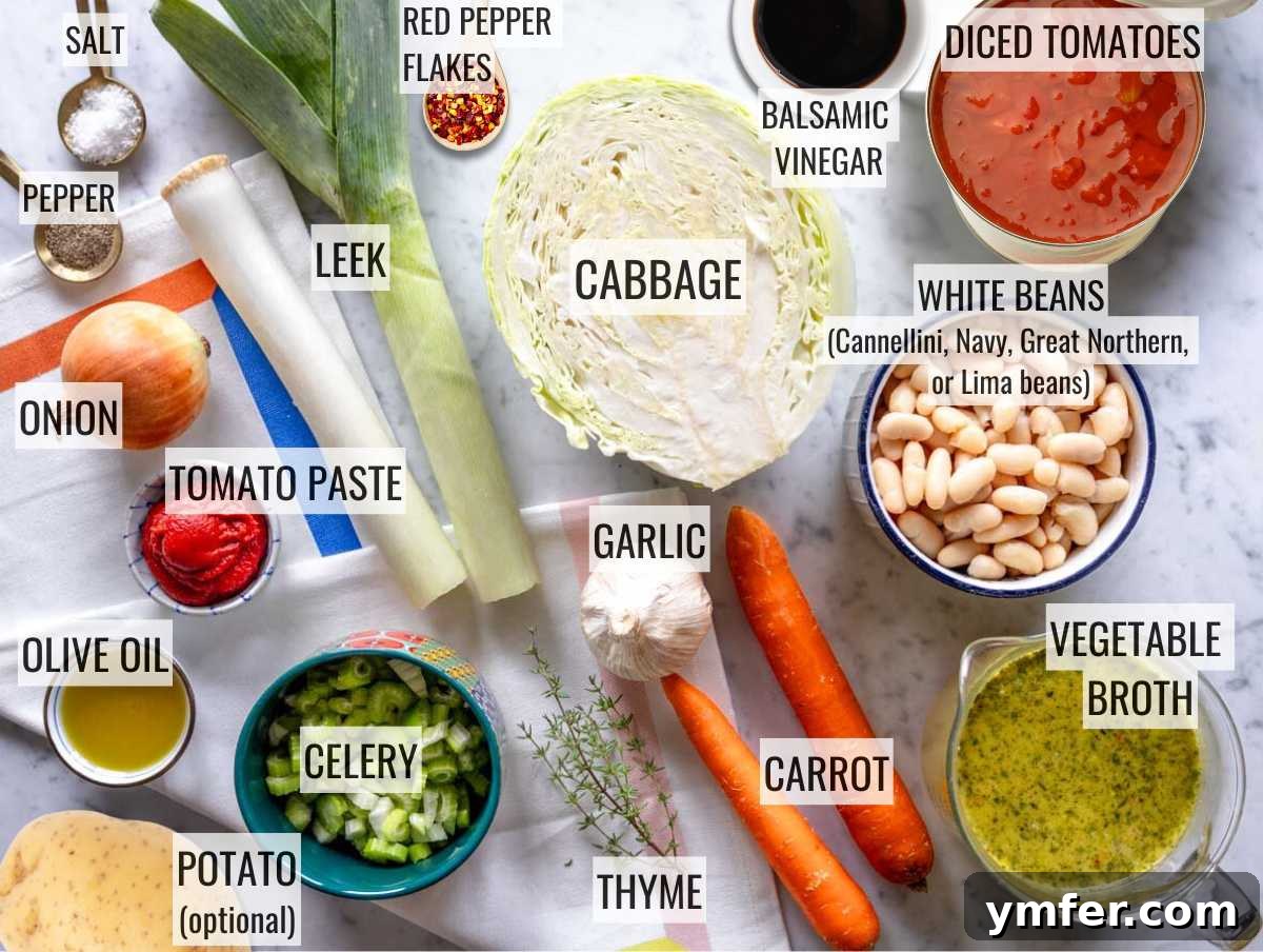 Hearty Cabbage Soup 5 ingredients for easy cabbage soup