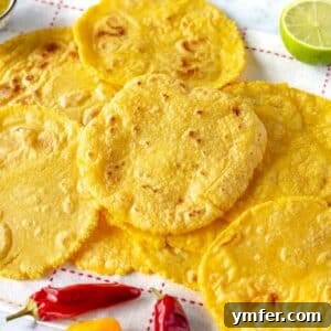 Handcrafted Corn Wraps 12 Corn tortilla stacked with chili