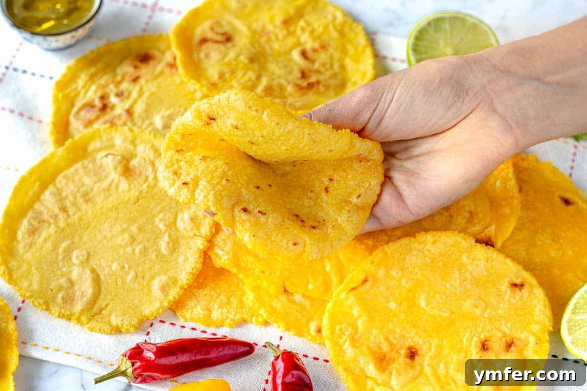 Handcrafted Corn Wraps 6 A soft and foldable corn tortilla being held up, showing its pliable texture