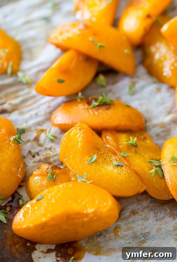 Sun Kissed Apricot Whole Wheat Farina 4 Bowl of creamy Roasted Apricot Whole Wheat Farina topped with fresh apricots and pistachios.