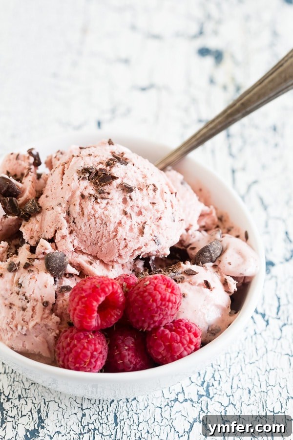 Chocolate Raspberry Bliss Ice Cream 2 A scoop of homemade Raspberry Chocolate Chip Ice Cream in a bowl, garnished with fresh raspberries and dark chocolate shavings.
