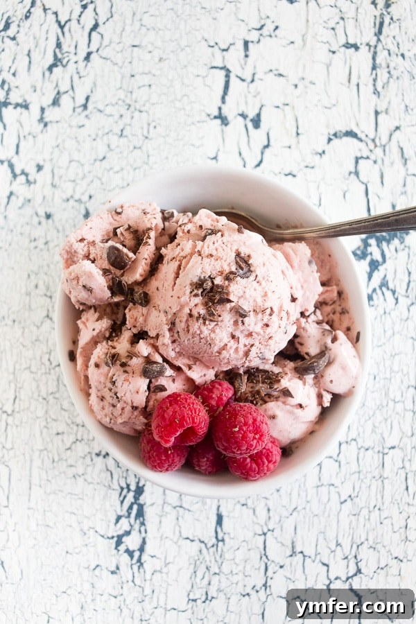 Chocolate Raspberry Bliss Ice Cream 5 A bowl of Raspberry Chocolate Chip Ice Cream, beautifully served with a sprinkle of chocolate shavings and fresh berries.
