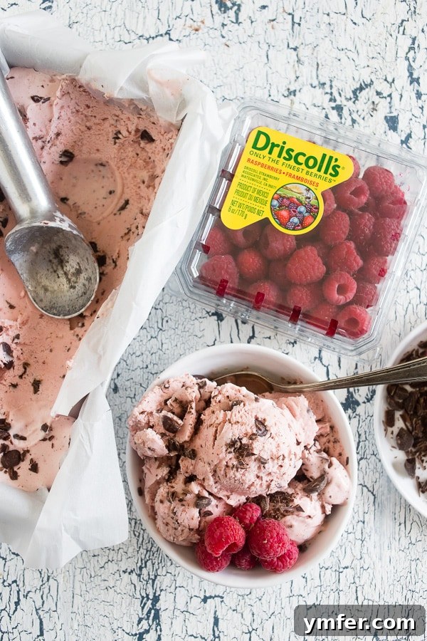 Chocolate Raspberry Bliss Ice Cream 3 Homemade Raspberry Chocolate Chip Ice Cream on a rustic wooden table next to a punnet of fresh raspberries, ready to be enjoyed.