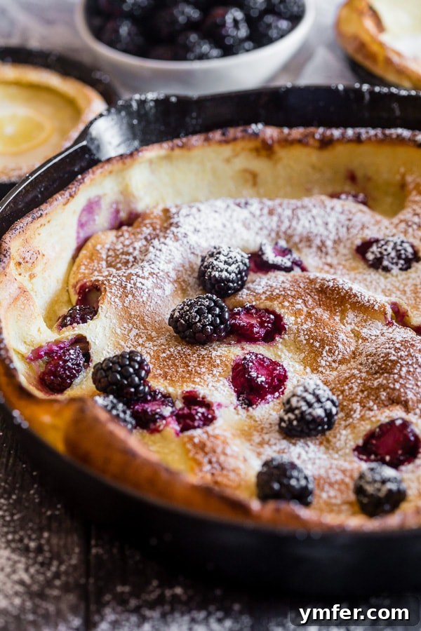 Blackberry Lemon Dutch Baby topped with fresh berries and powdered sugar.