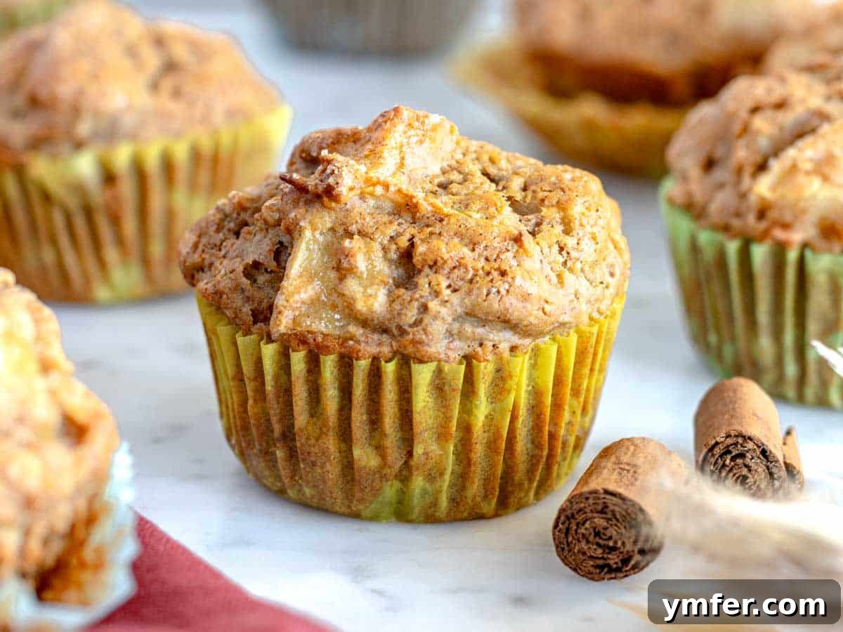 Orchard Spice Muffins 3 Apple muffin on a marble table