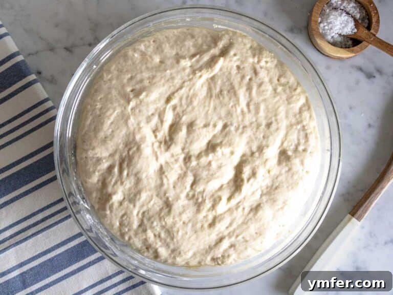 Golden Olive Oil Flatbread 19 Dough doubled in size after proofing.