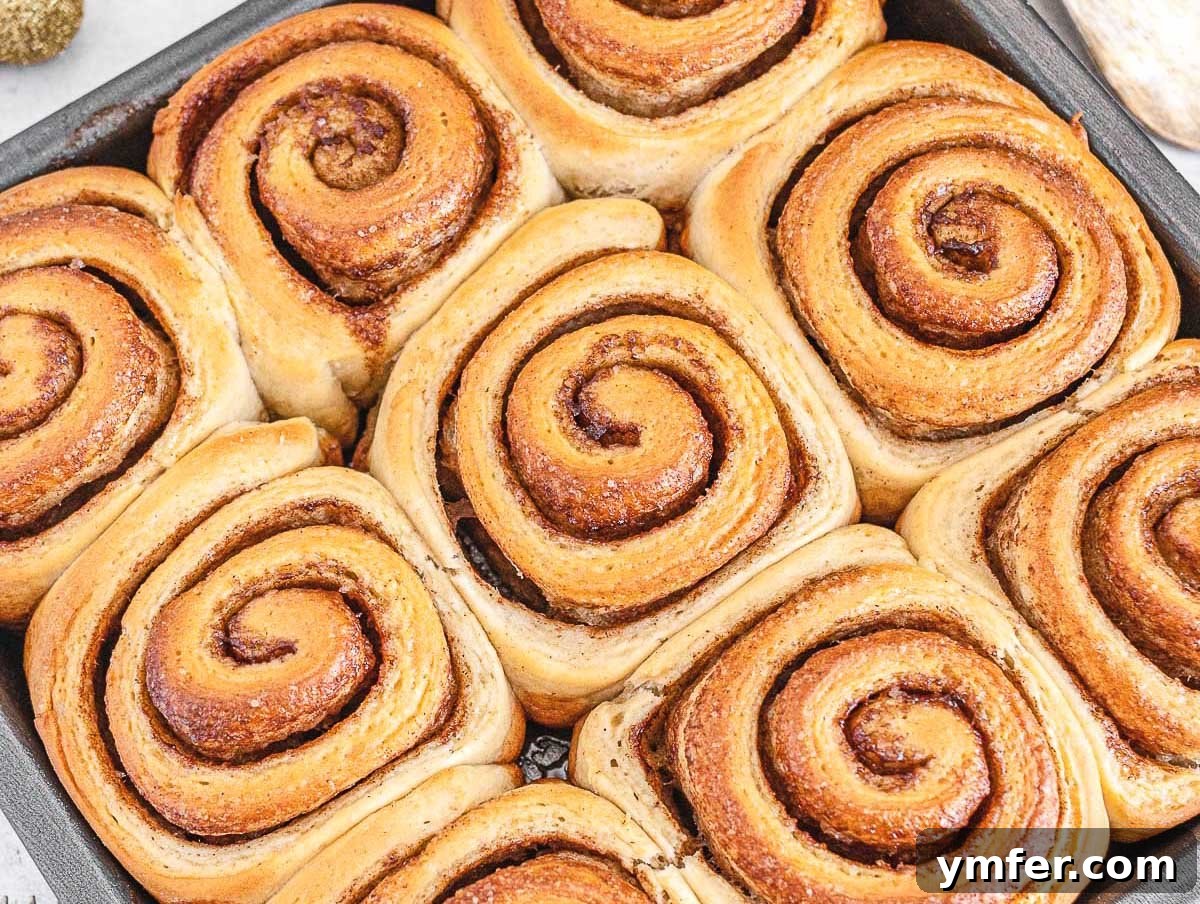 Fuel Your Morning: 30 Plant-Powered Breakfast Creations 27 Cinnamon rolls just baked