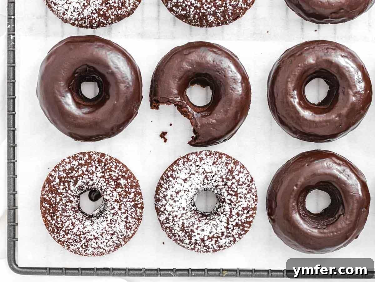 Fuel Your Morning: 30 Plant-Powered Breakfast Creations 32 Chocolate donuts with powdered sugar and bite
