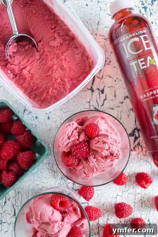 Frosted Raspberry Tea Float 2 A vibrant raspberry sorbet tea float with fresh raspberries, showcasing a perfect summer frozen treat.