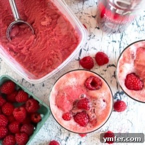 Frosted Raspberry Tea Float 6 img 11083 5