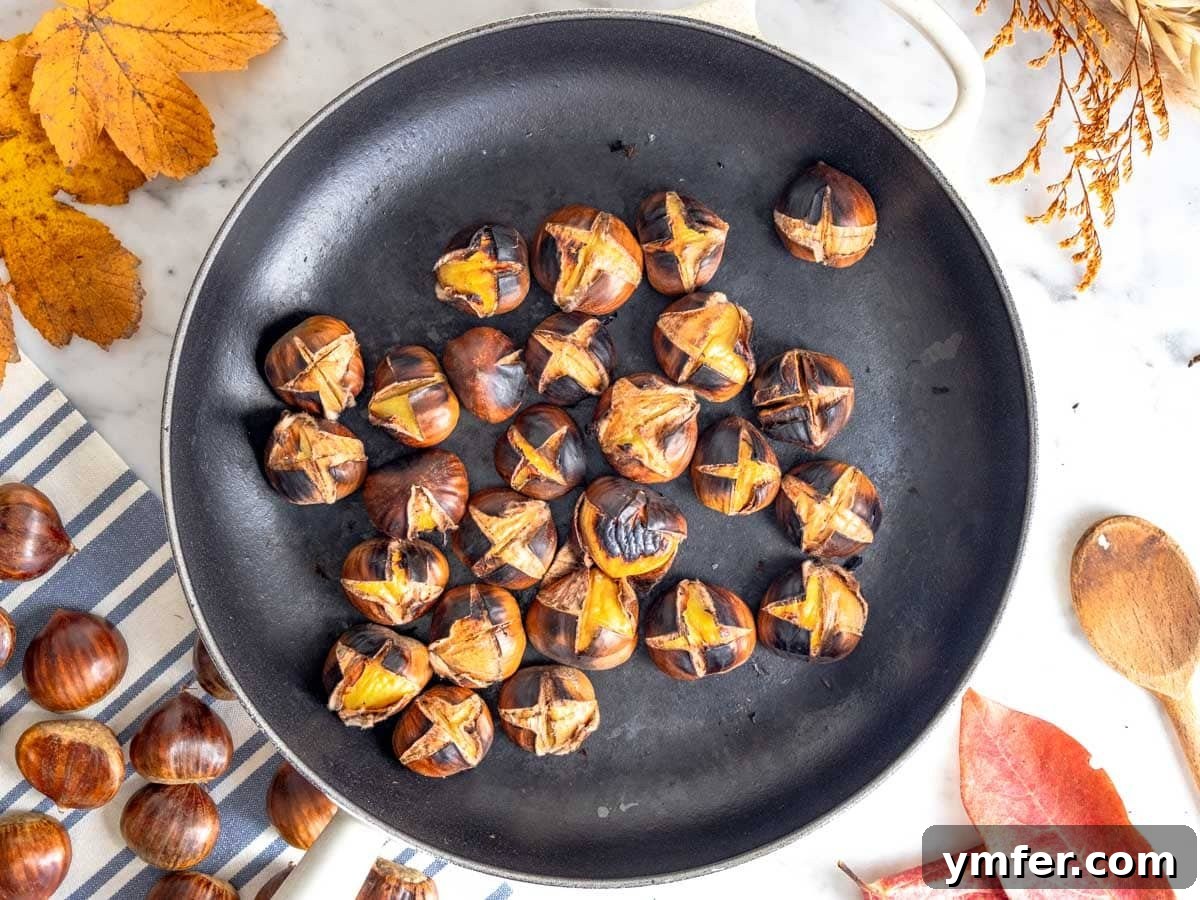 Fireside Roasted Chestnuts 14 How to roast chestnuts on a cast iron skillet, showing the process.