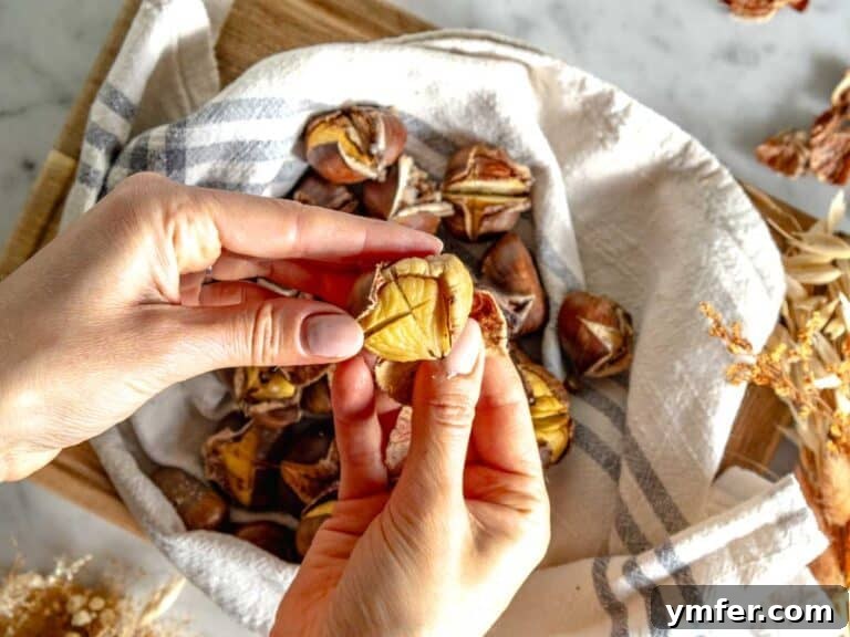 female hands peeling roasted chestnuts