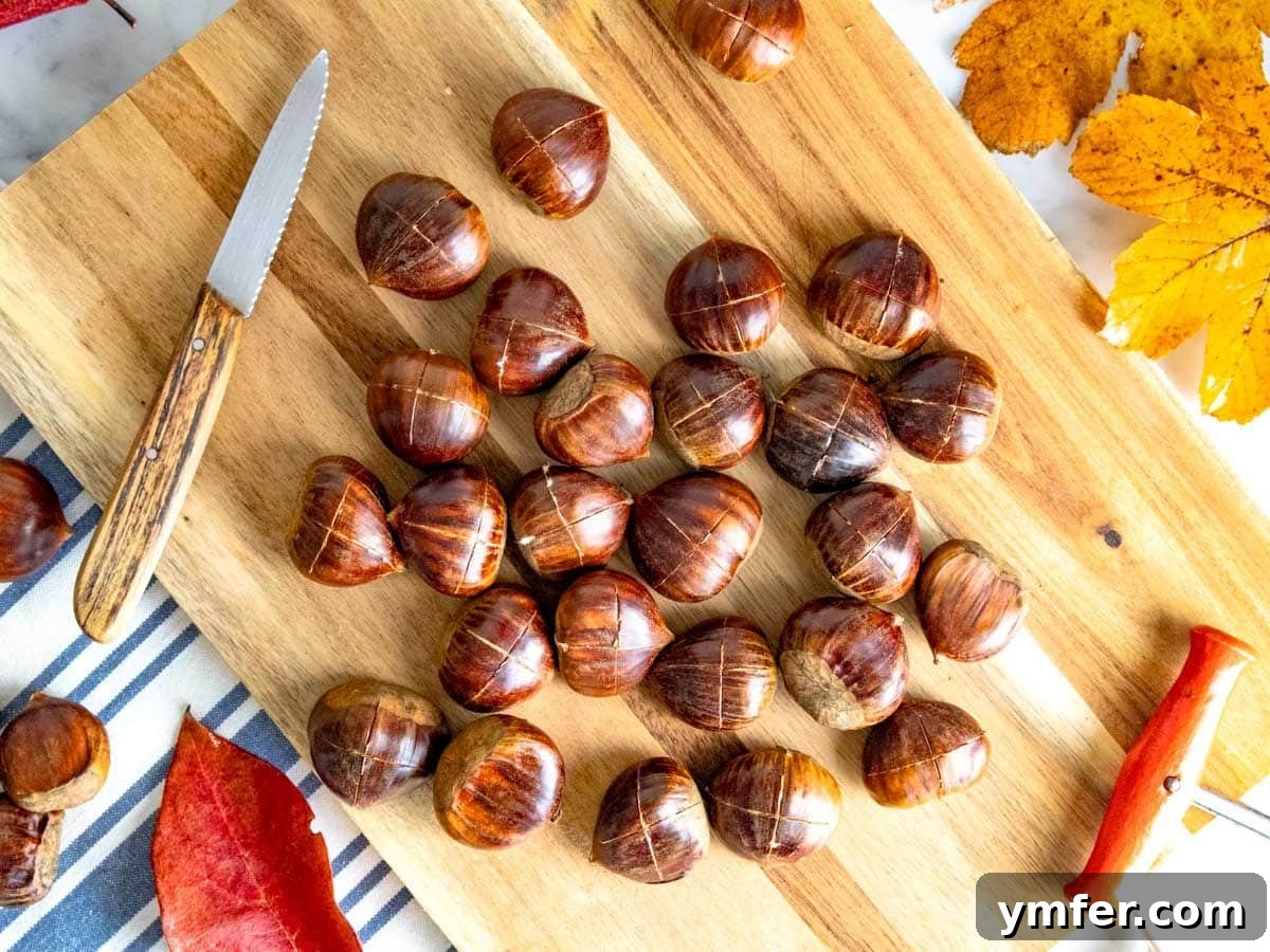 Fireside Roasted Chestnuts 9 Raw chestnuts with cross cut on their round edges, prepared for roasting.