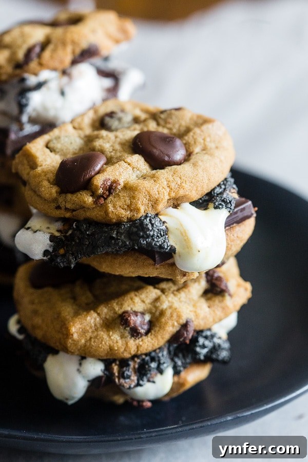 Ultimate Peanut Butter Chocolate Chip Cookie S'mores 2 Irresistible Peanut Butter Chocolate Chip Cookie S'mores with toasted marshmallows and melted chocolate