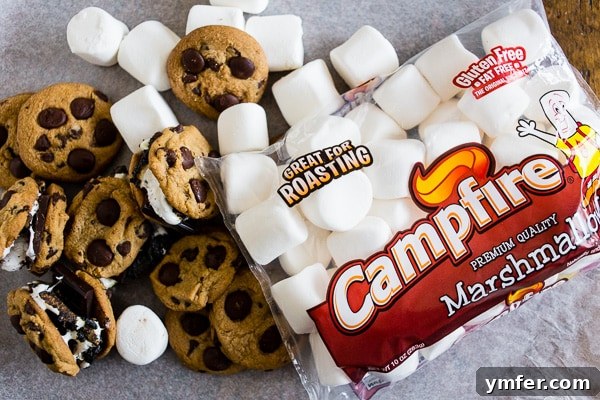 Ultimate Peanut Butter Chocolate Chip Cookie S'mores 3 Delicious Peanut Butter Chocolate Chip Cookie S'mores ready to be enjoyed