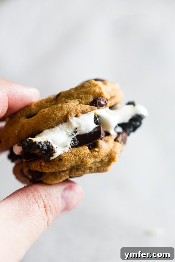 Ultimate Peanut Butter Chocolate Chip Cookie S'mores 4 Close-up of a Peanut Butter Chocolate Chip Cookie S'more with gooey marshmallow and melted chocolate