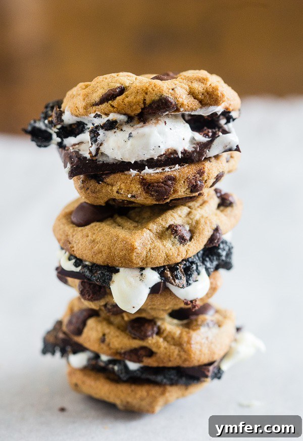 Ultimate Peanut Butter Chocolate Chip Cookie S'mores 5 Finished Peanut Butter Chocolate Chip Cookie S'mores with melted ingredients
