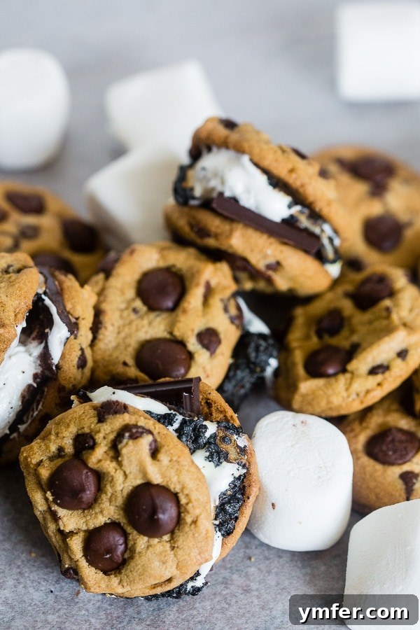 Ultimate Peanut Butter Chocolate Chip Cookie S'mores 6 Freshly made Peanut Butter Chocolate Chip Cookie S'mores, a perfect year-round treat
