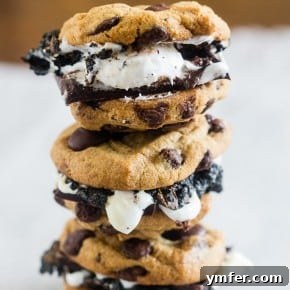 Ultimate Peanut Butter Chocolate Chip Cookie S'mores 7 img 11159 6