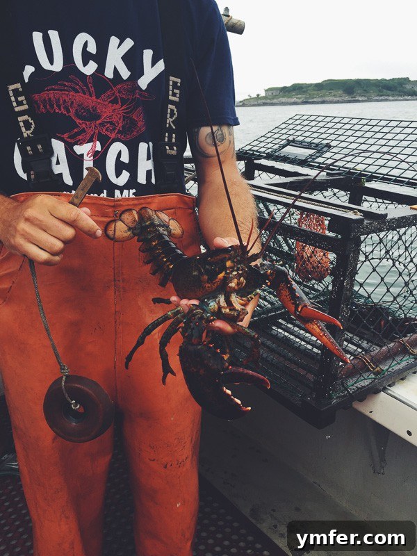 Discover Maine's Summer Magic 6 Summer Maine Travel Guide - Portland Lucky Catch Lobster Tour