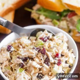 Hummus Chicken Salad, a perfect blend of creamy hummus and tender chicken.