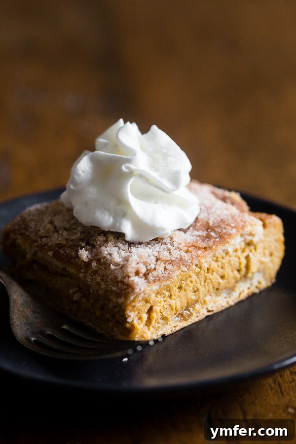 Autumn Churro Pumpkin Cheesecake Dream Bars 2 Pumpkin Churro Cheesecake Bars topped with a generous swirl of whipped cream.