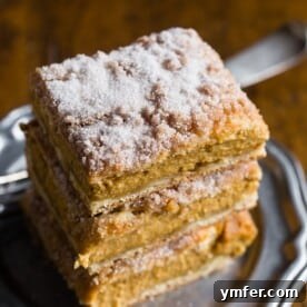 Pumpkin churro cheesecake bars topped with a crunchy sugar topping, ready to eat.