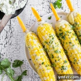 This beer steamed corn on the cob is slathered with homemade honey cilantro citrus butter. This side dish is crazy delicious and a perfect use for fresh from the farm corn or any fresh corn you hoarded during the summer and froze.