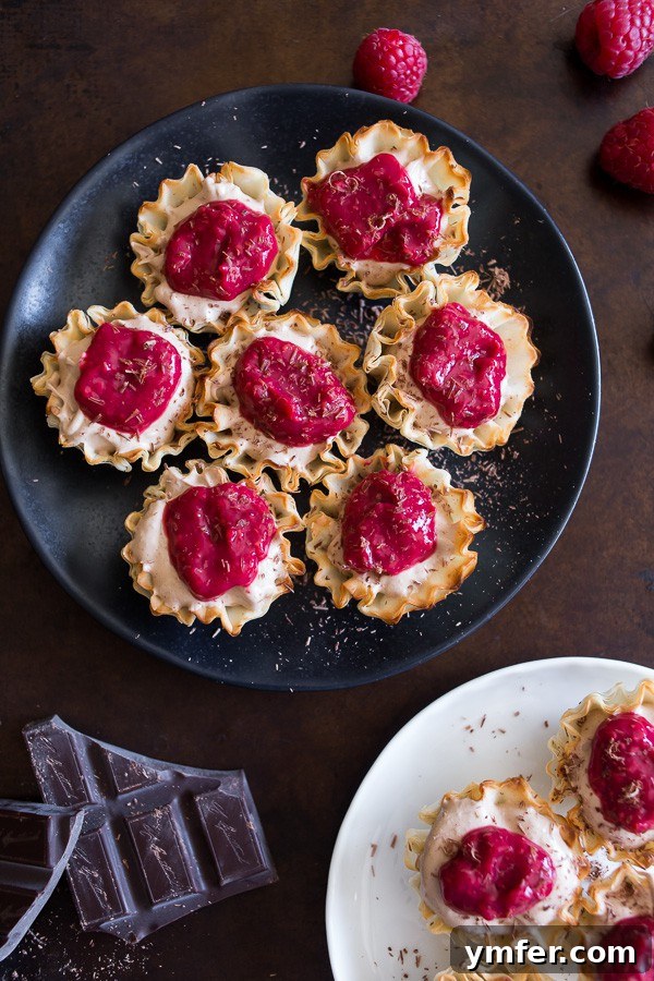 Chocolate Raspberry French Silk Delights 2 Rich chocolate raspberry French silk pie bites are the perfect no-bake holiday treat.