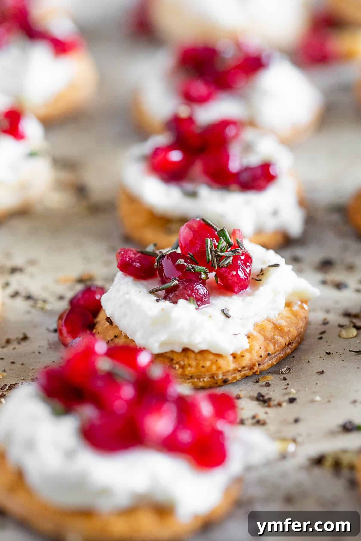 Tangy Chevre Clouds 5 Close-up of Whipped Goat Cheese Bites, beautifully garnished with fresh rosemary sprigs.