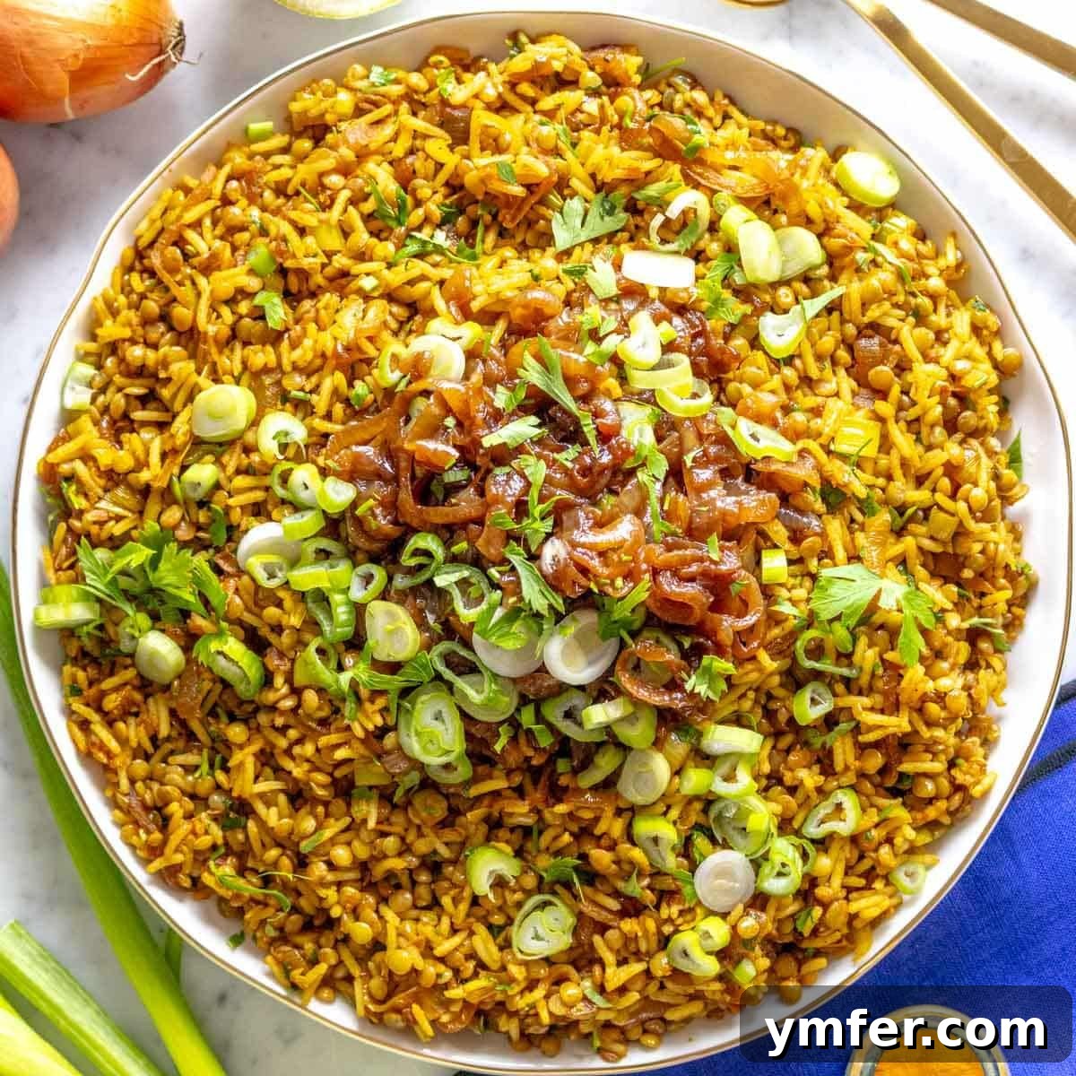 25 High Fiber Power Foods 12 Mujadara with caramelized onions on a white plate