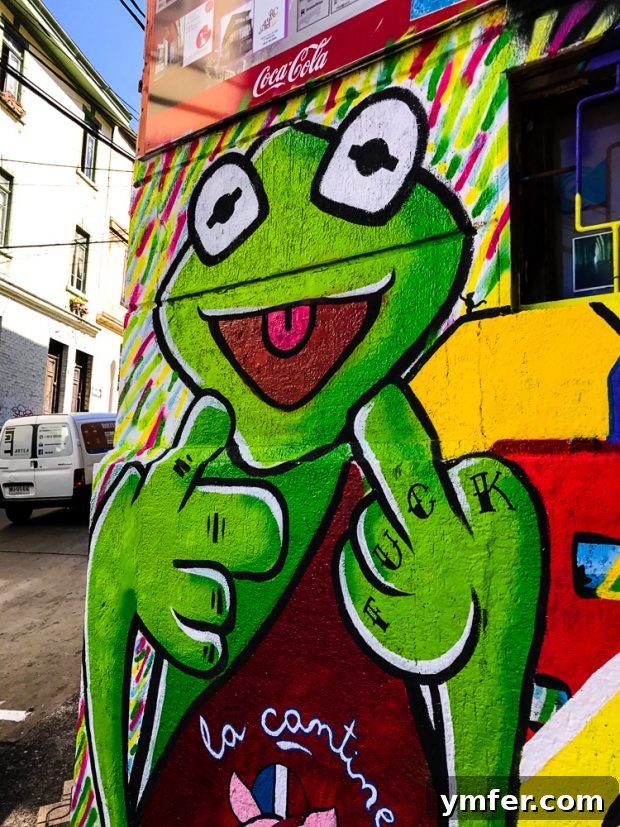 Valparaiso Street Art: Explore Chile's Open-Air Gallery 8 A humorous Valparaiso graffiti piece depicting Kermit the Frog looking exasperated, perfectly capturing a relatable everyday mood.