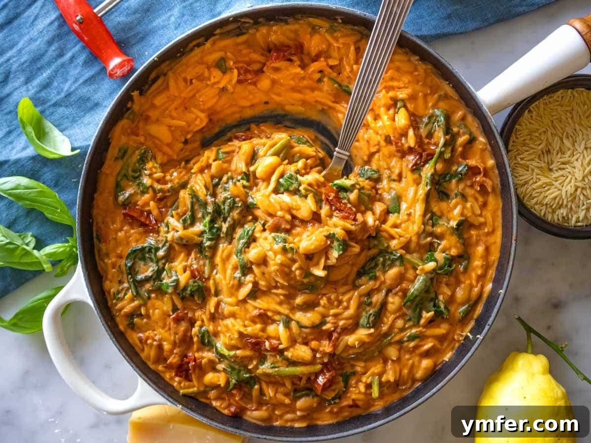 Say Yes To This Orzo 9 A close-up of creamy marry me orzo served directly in a skillet with a spoon, ready to be enjoyed as a comforting meal.