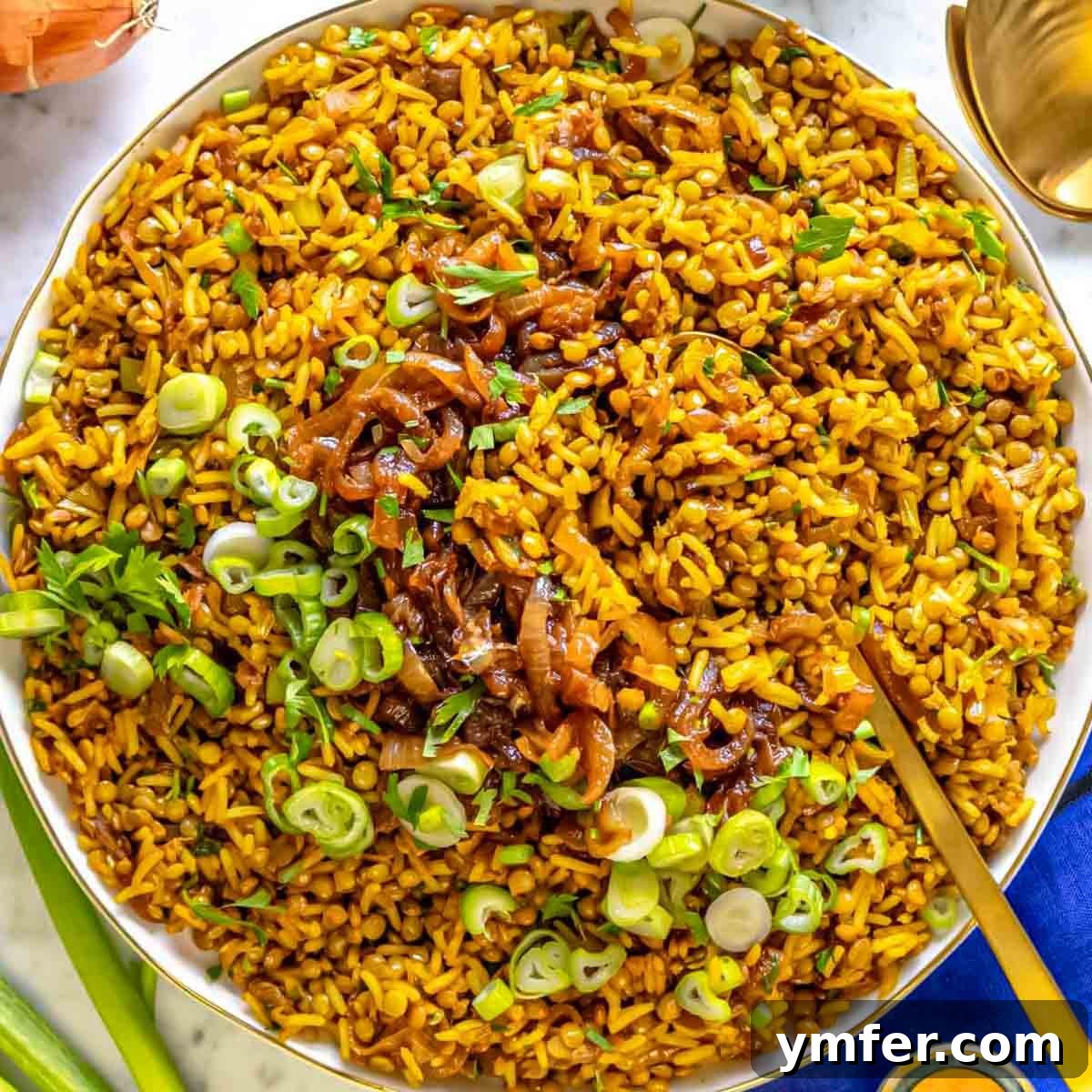 9 Mediterranean Proteins to Power Your Plate 16 A bowl of flavorful lentil and rice mujadara, garnished with crispy caramelized onions.