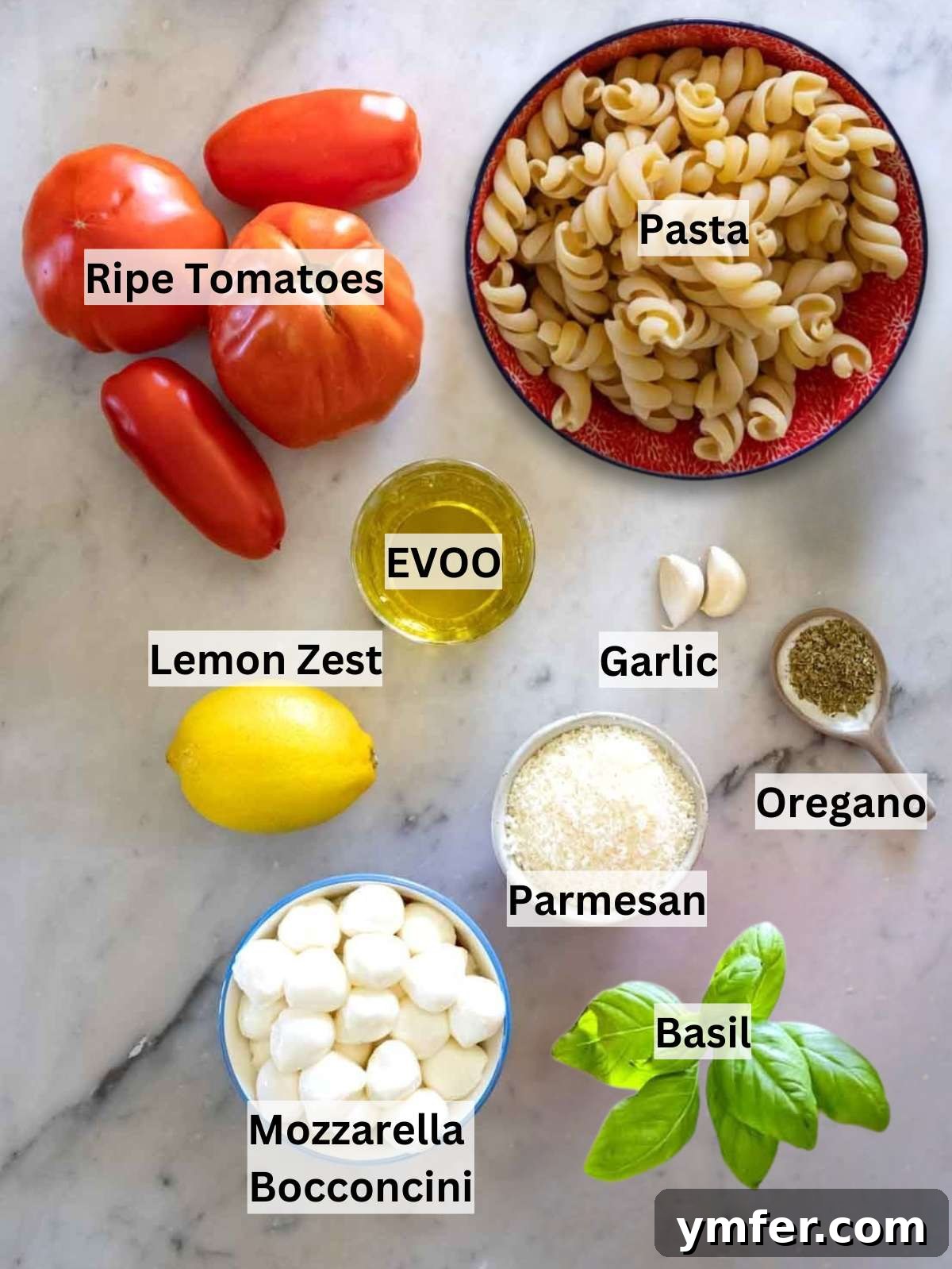 Easy Bruschetta Pasta No Cook Sauce 3 Fresh bruschetta pasta ingredients laid out including tomatoes, garlic, basil, mozzarella, and olive oil, all ready for preparation.